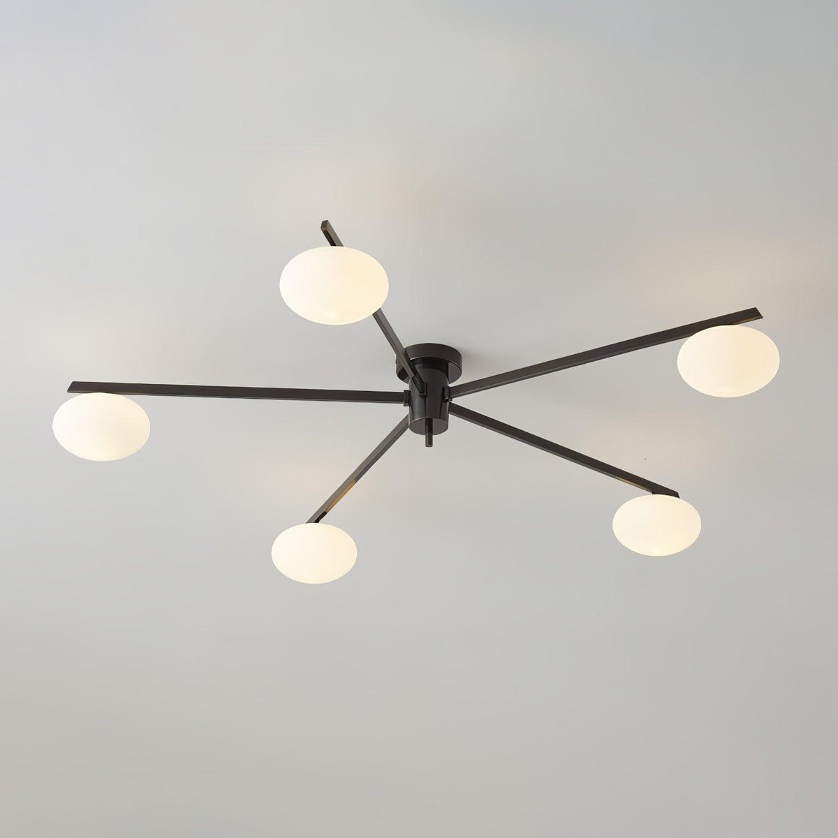 Jania Modern Glass Black Ceiling Light | ventumra