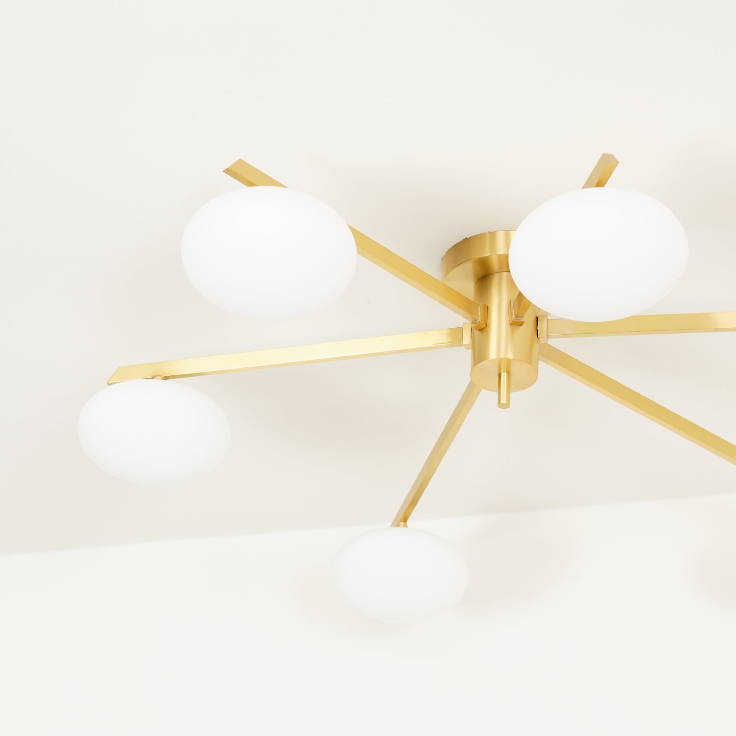 Jania Modern Glass Black Ceiling Light | ventumra