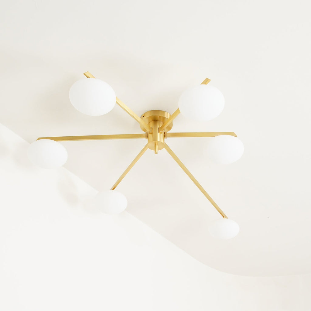 Jania Modern Glass Black Ceiling Light | ventumra