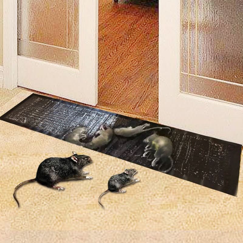 Effective Large Surface Glue Traps — Non-Toxic Pest Control