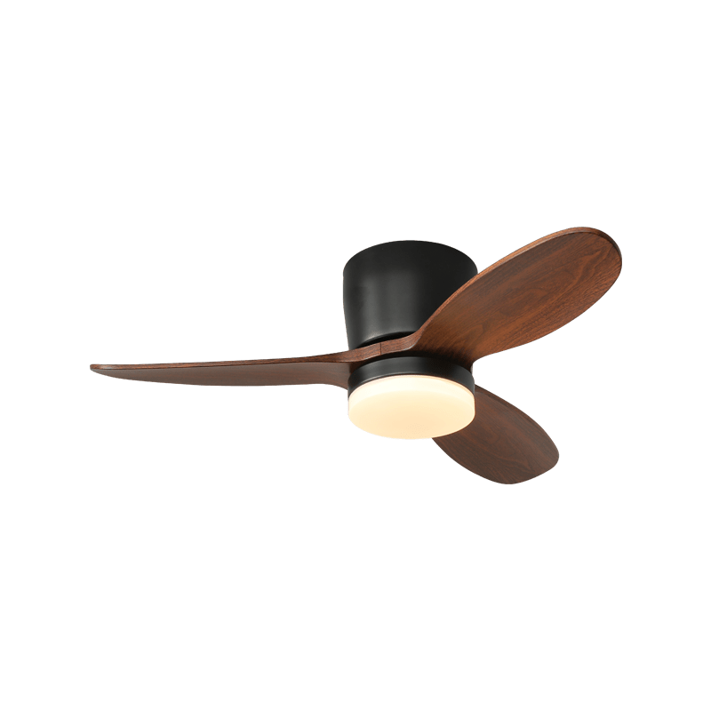 Wing Arc Fan Light | Ventumra