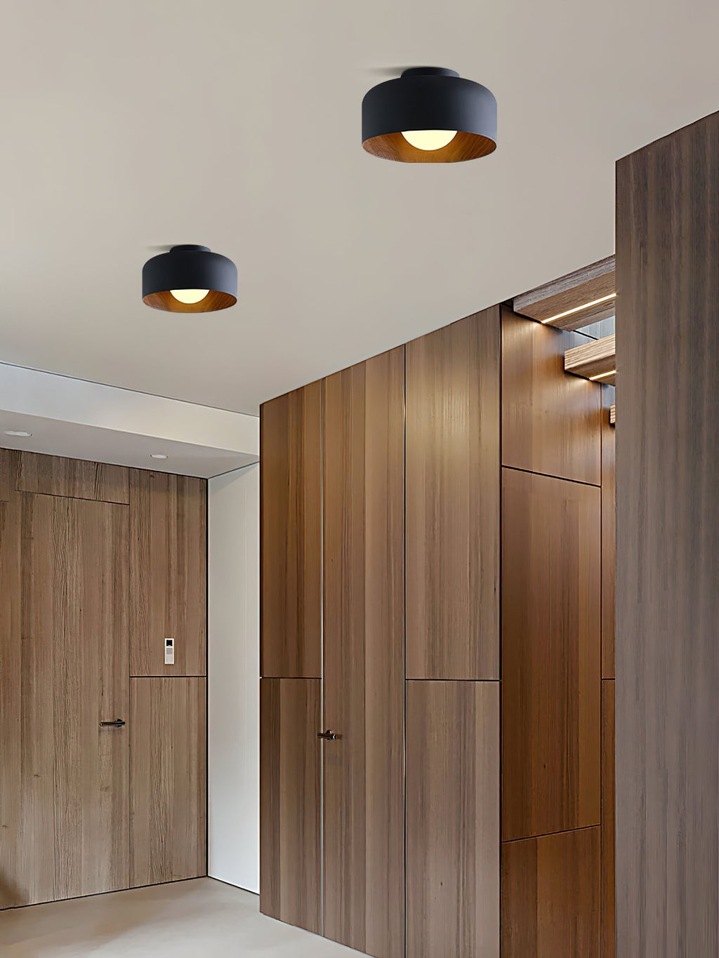 Stropní svítidlo Luna | Ventumra
