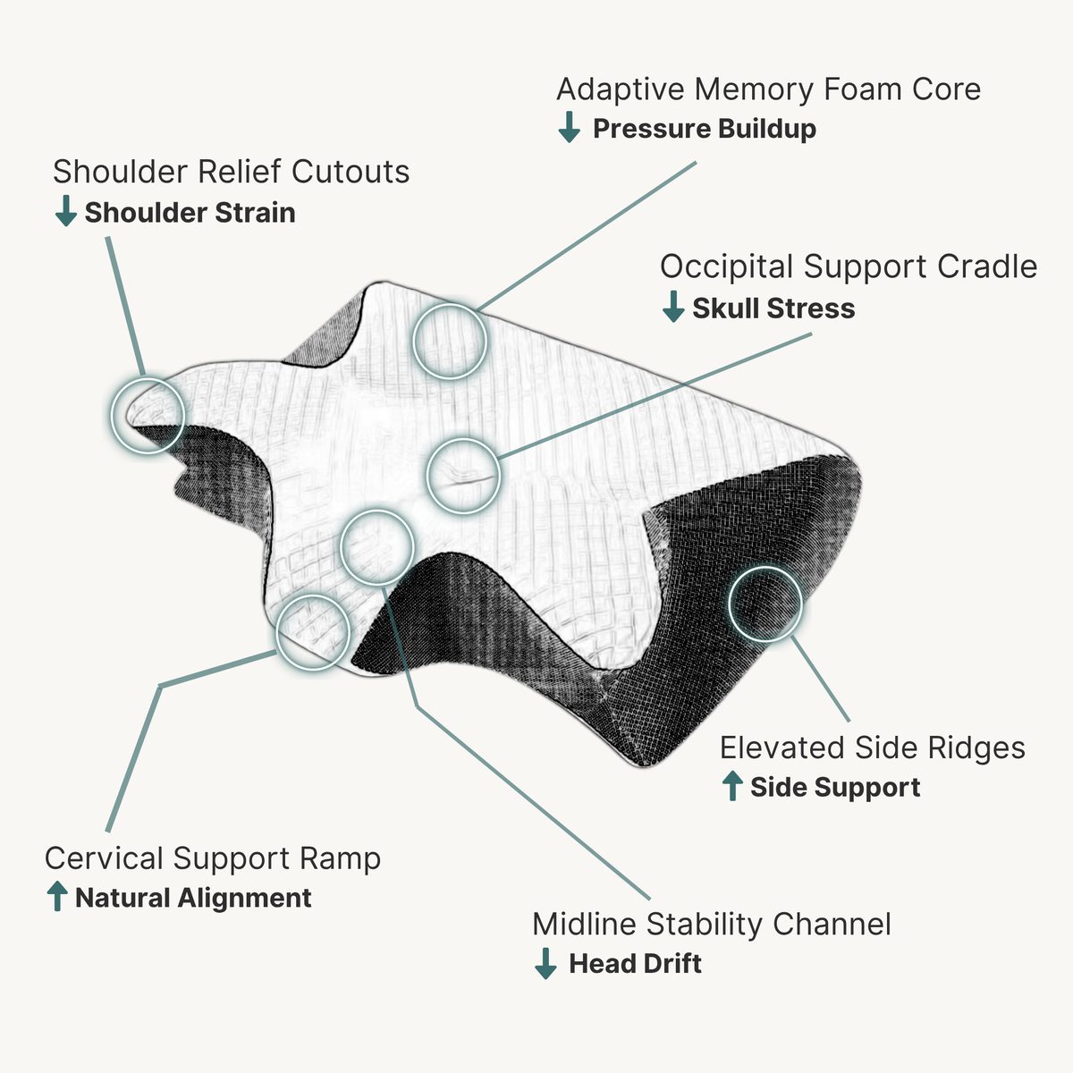 Contoured Memory Foam Cervical Support Pillow | Ventumra