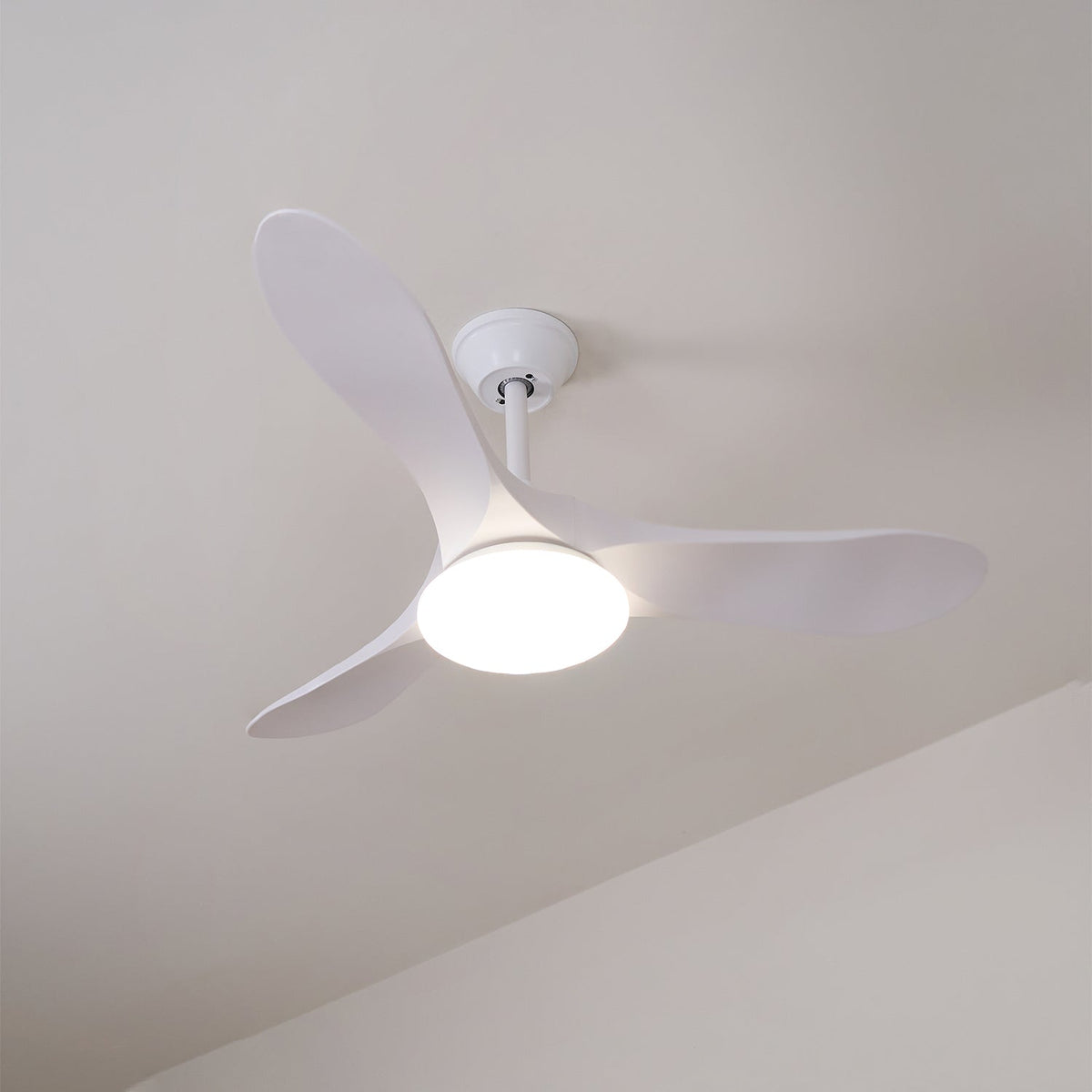Tapered Span Fan Light | Ventumra