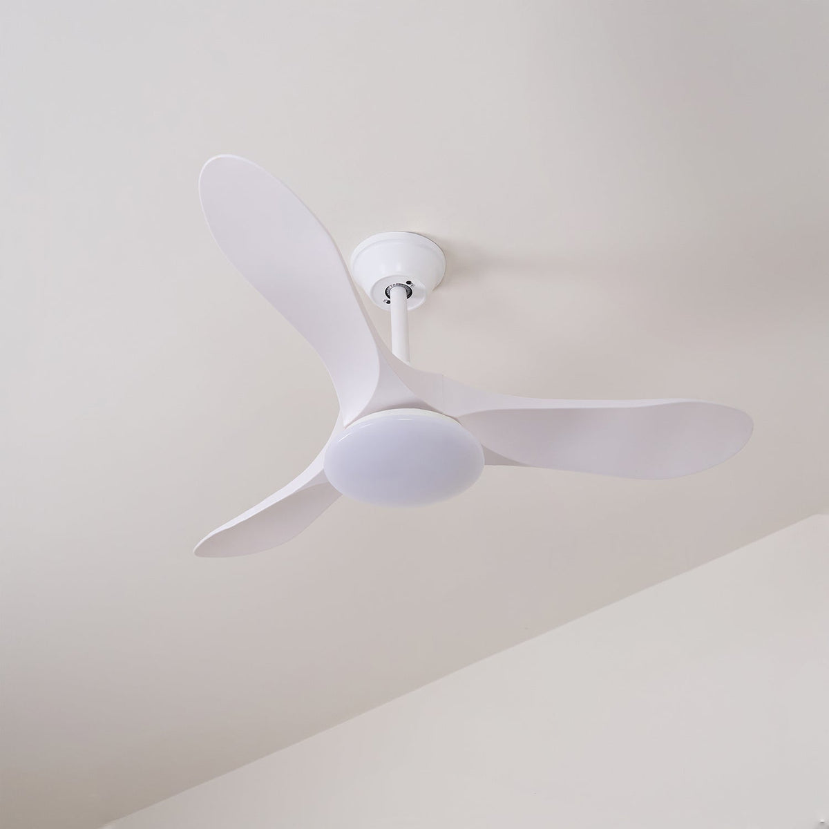 Tapered Span Fan Light | Ventumra