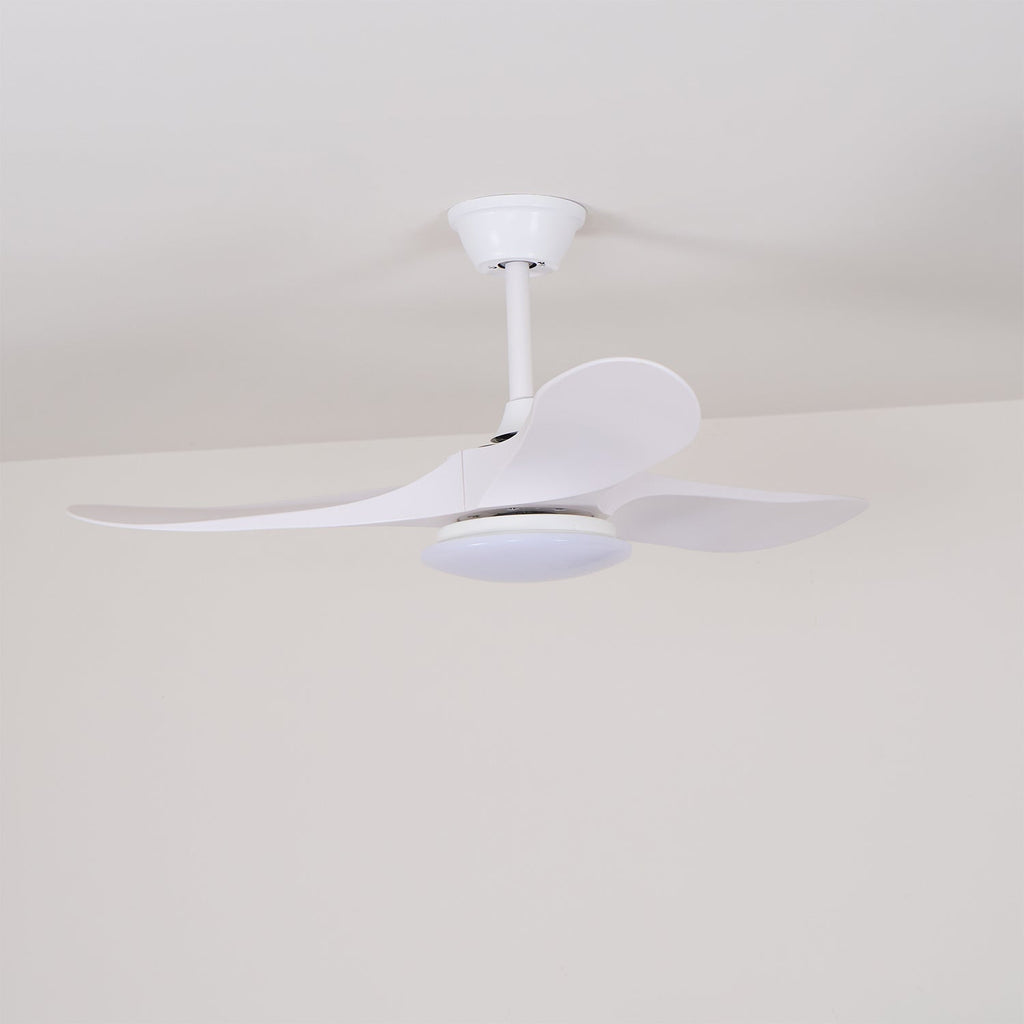 Tapered Span Fan Light | Ventumra