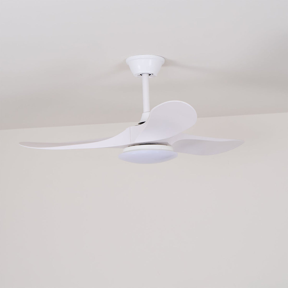 Tapered Span Fan Light | Ventumra
