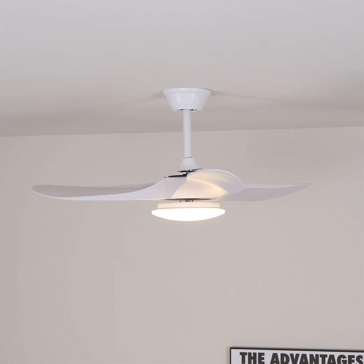 Tapered Span Fan Light | Ventumra