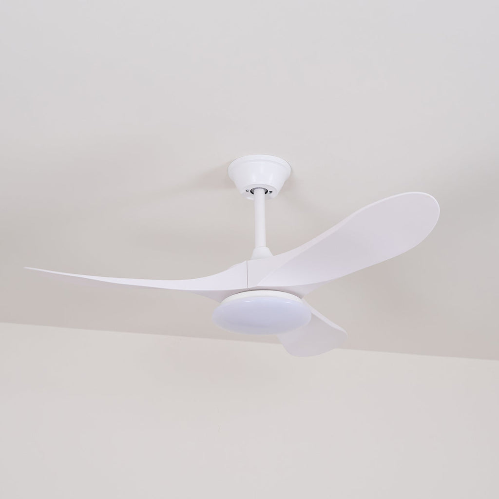 Tapered Span Fan Light | Ventumra