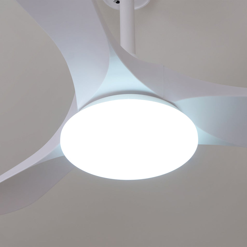 Tapered Span Fan Light | Ventumra