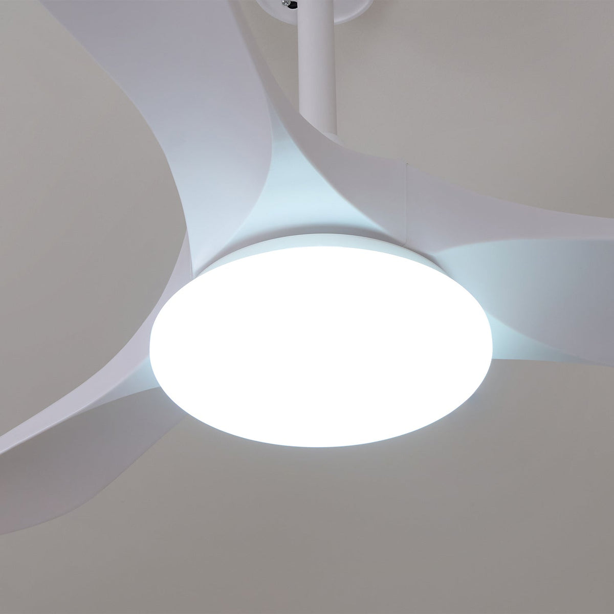 Tapered Span Fan Light | Ventumra