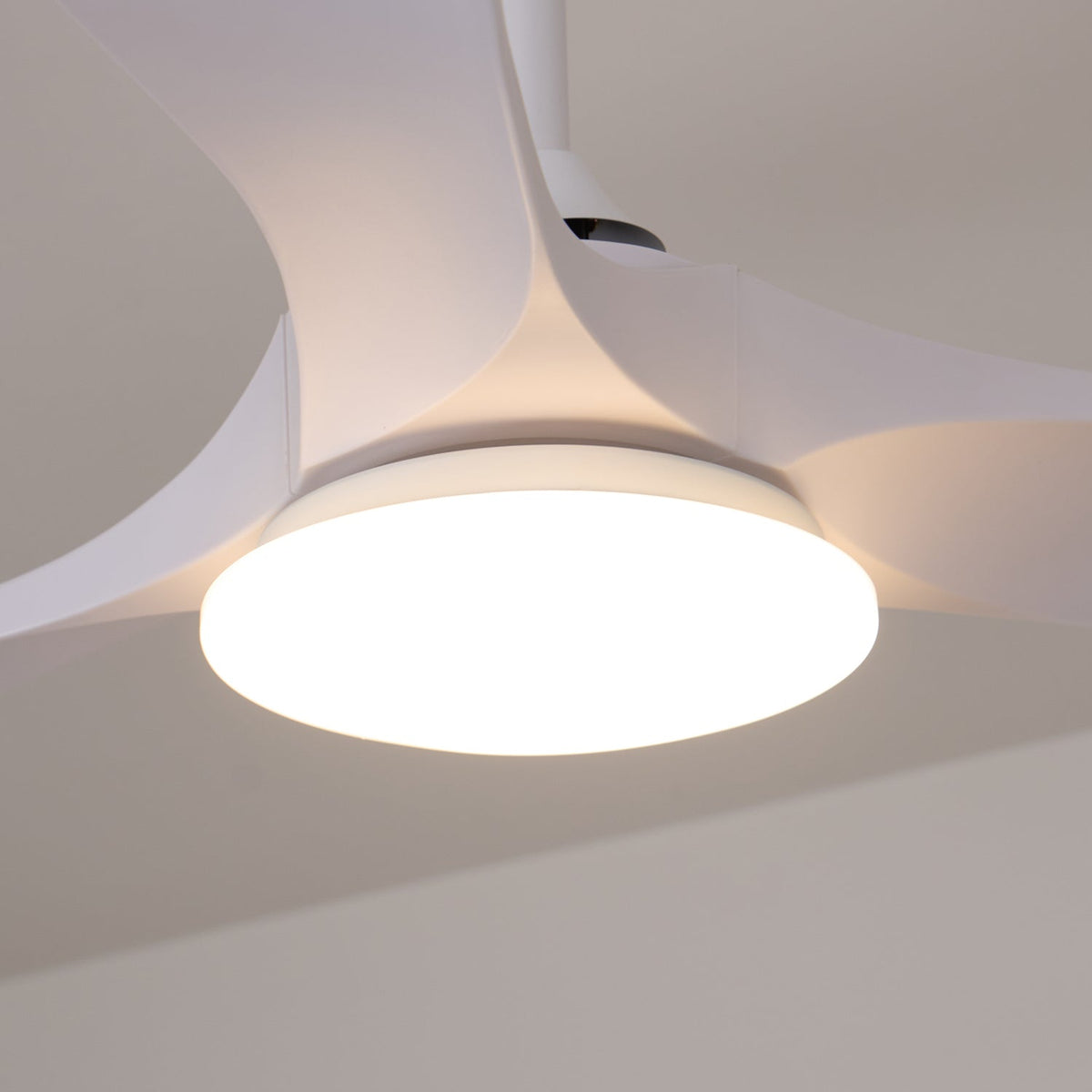 Tapered Span Fan Light | Ventumra
