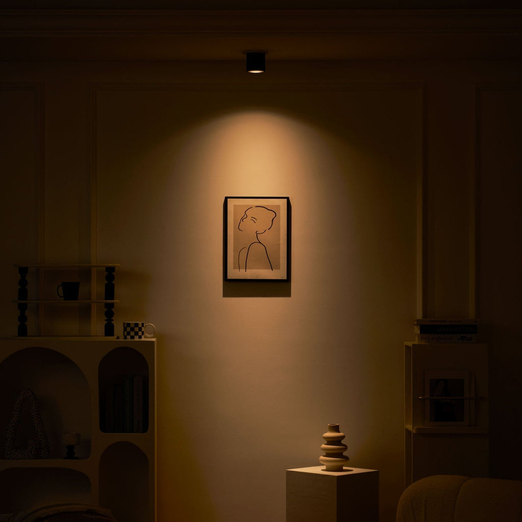 Vireon Modern Spot Ceiling Light | Ventumra