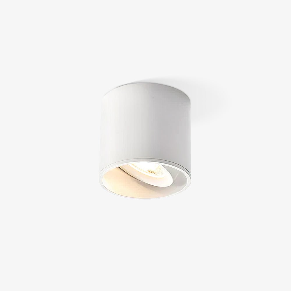 Vireon Modern Spot Ceiling Light | Ventumra