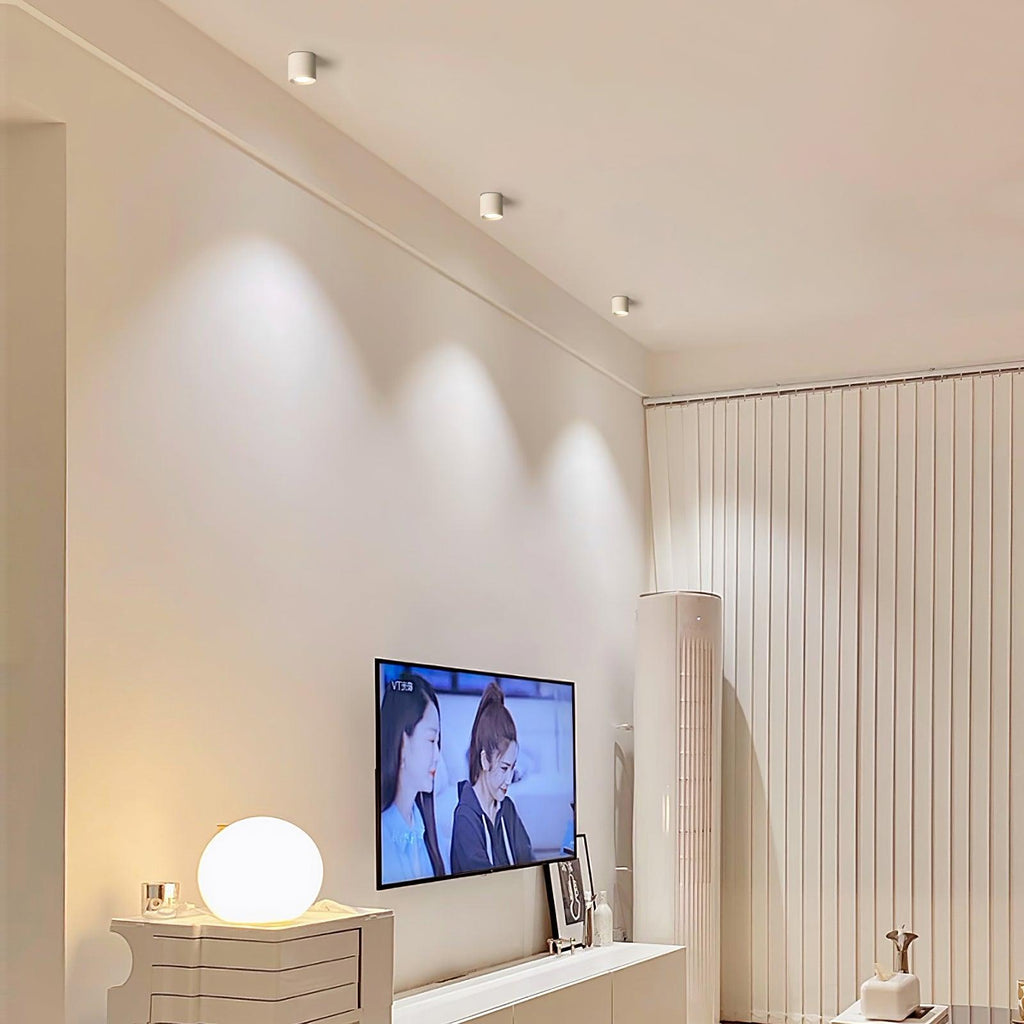 Vireon Modern Spot Ceiling Light | Ventumra