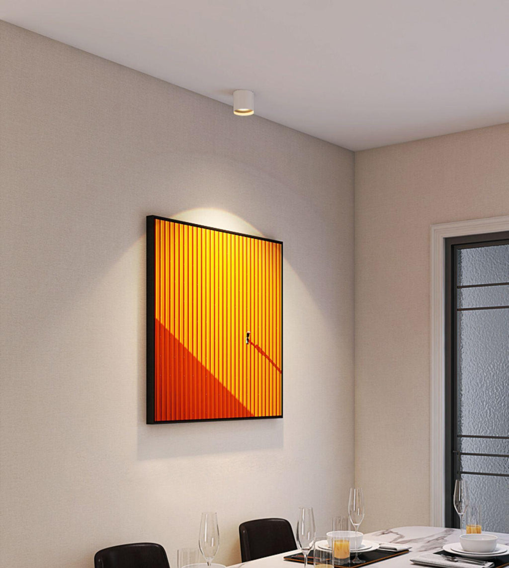 Vireon Modern Spot Ceiling Light | Ventumra