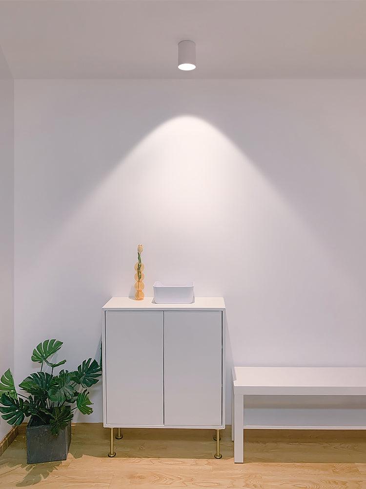 Vireon Modern Spot Ceiling Light | Ventumra