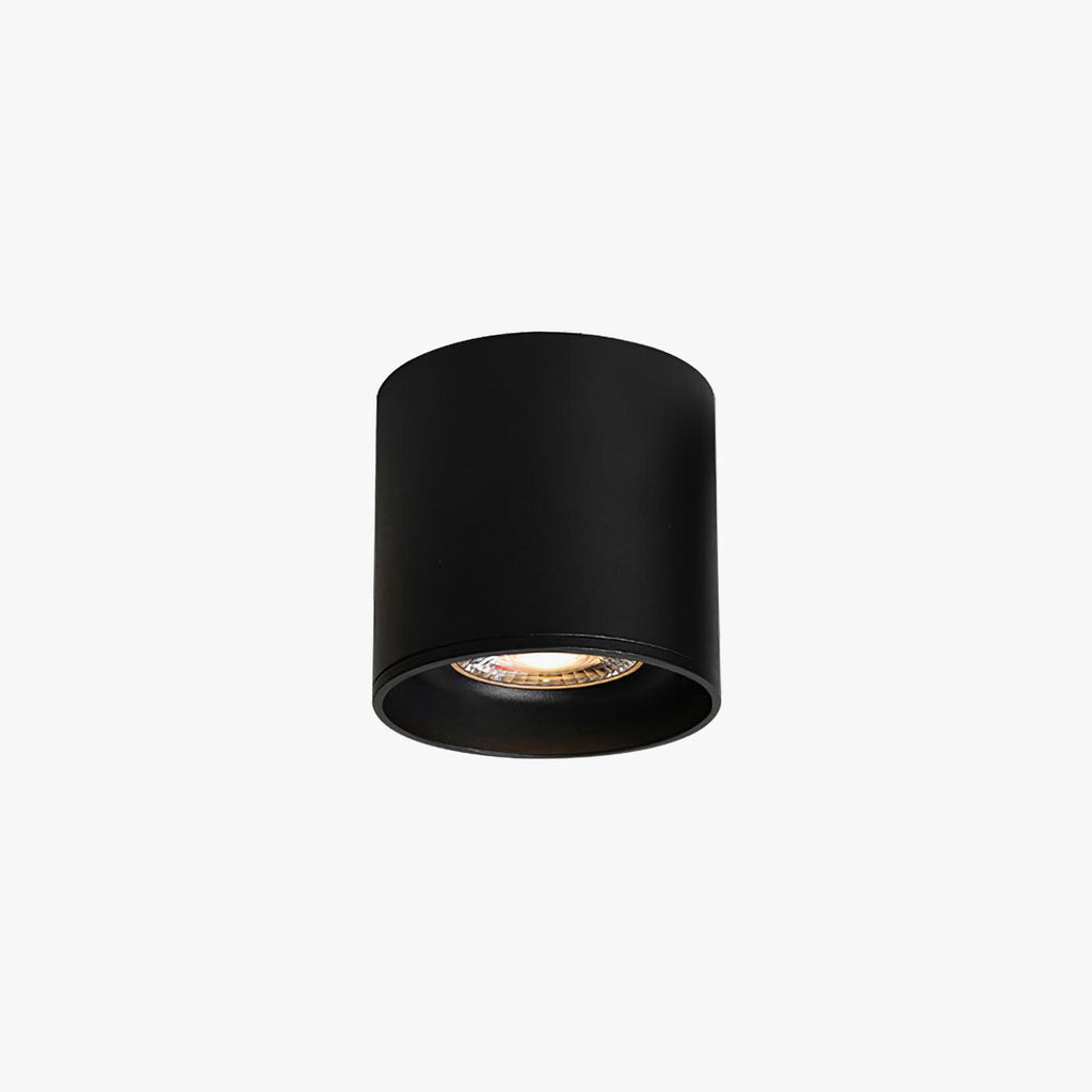 Vireon Modern Spot Ceiling Light | Ventumra