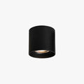 Vireon Modern Spot Ceiling Light | Ventumra