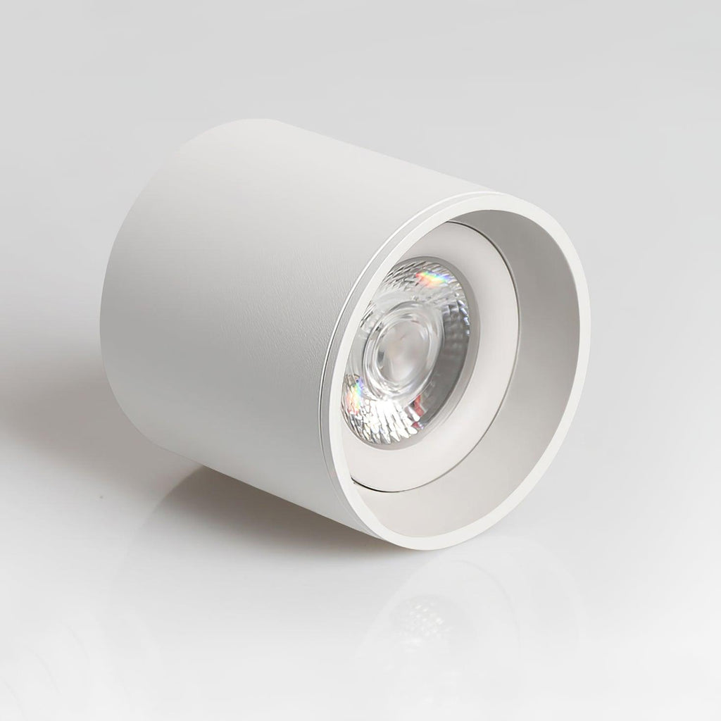 Vireon Modern Spot Ceiling Light | Ventumra
