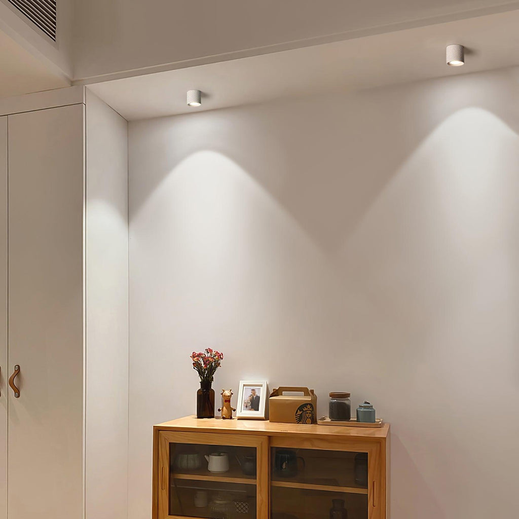 Vireon Modern Spot Ceiling Light | Ventumra