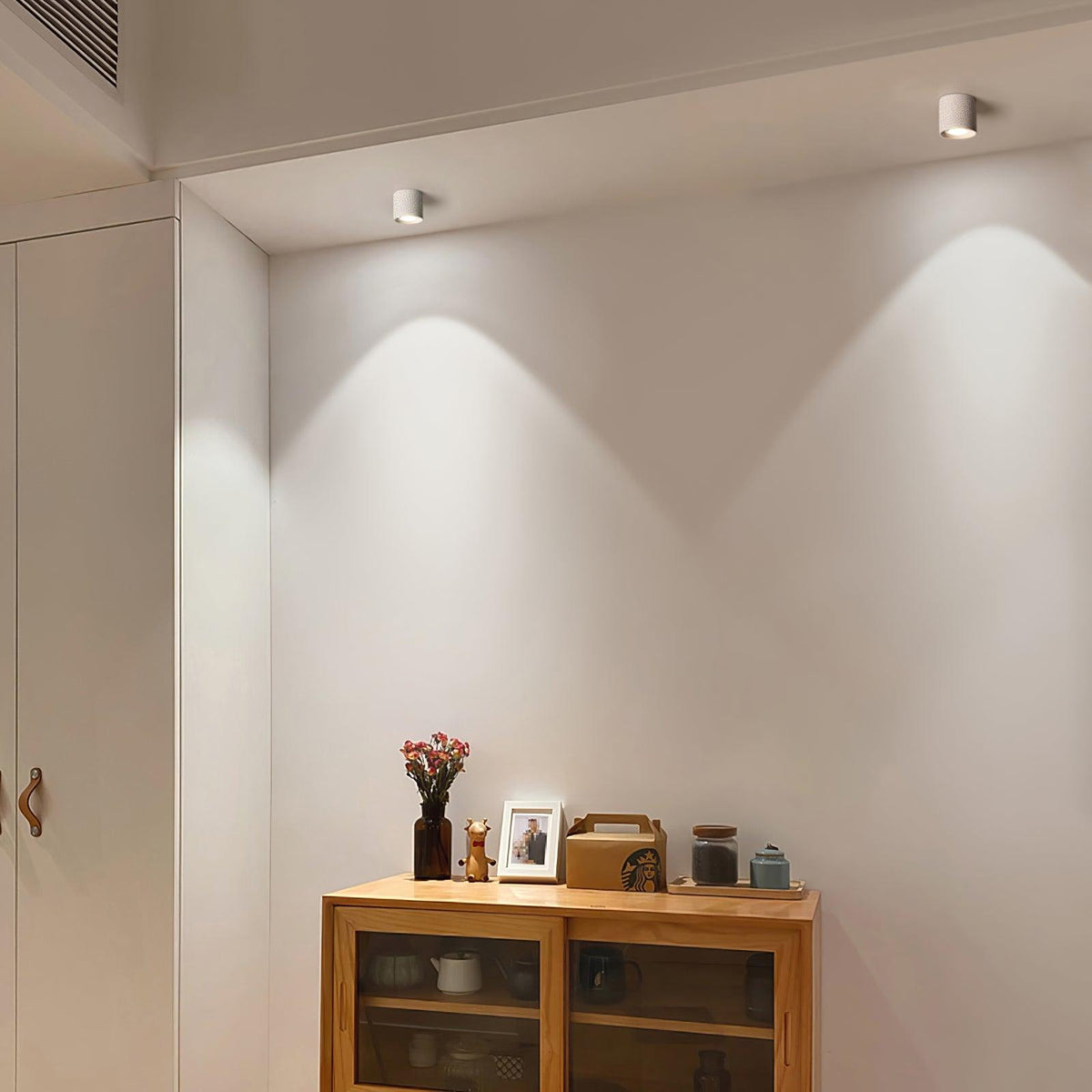 Vireon Modern Spot Ceiling Light | Ventumra