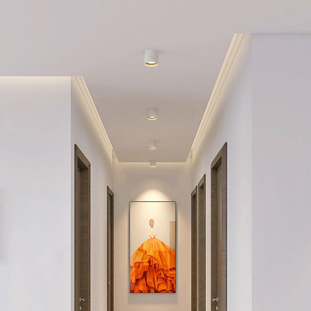Vireon Modern Spot Ceiling Light | Ventumra