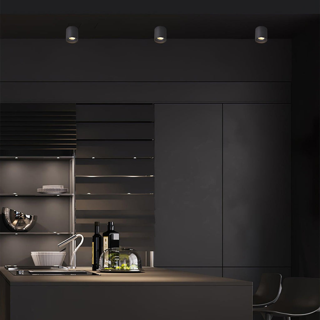 Vireon Modern Spot Ceiling Light | Ventumra