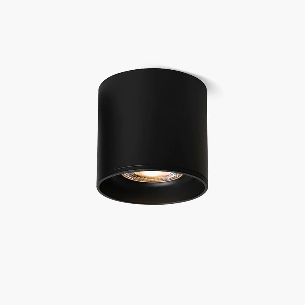 Vireon Modern Spot Ceiling Light | Ventumra