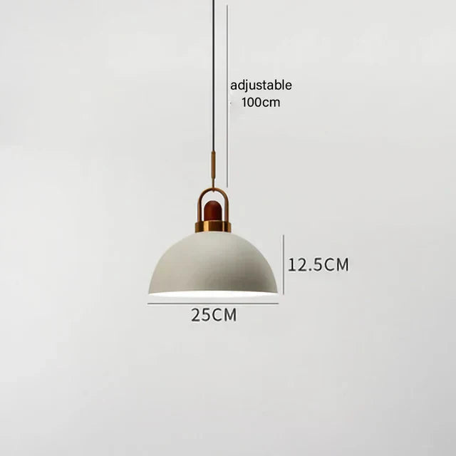 Astra Loft Urban Pendant Light by Creston Lighting