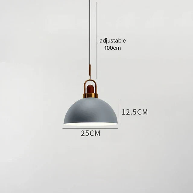 Astra Loft Urban Pendant Light by Creston Lighting