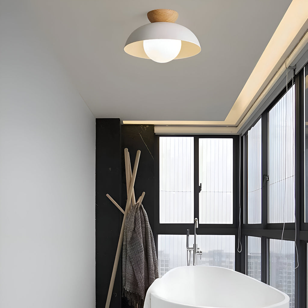 Lysa Nordic Minimalist LED Ceiling Lamp With Matte Glass