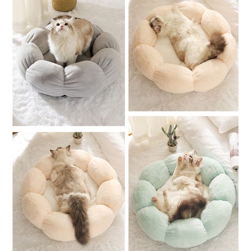 BloomPaws מיטת חתול בצורת פרח — דפנות עלי כותרת מעוקלות, עיצוב סגור