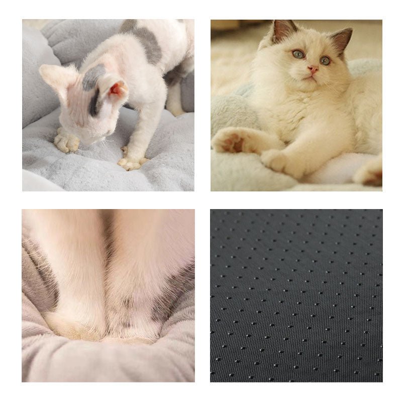 BloomPaws מיטת חתול בצורת פרח — דפנות עלי כותרת מעוקלות, עיצוב סגור