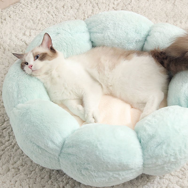 BloomPaws מיטת חתול בצורת פרח — דפנות עלי כותרת מעוקלות, עיצוב סגור