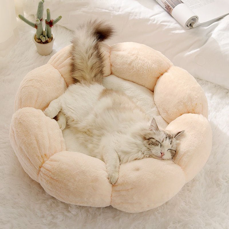 BloomPaws מיטת חתול בצורת פרח — דפנות עלי כותרת מעוקלות, עיצוב סגור
