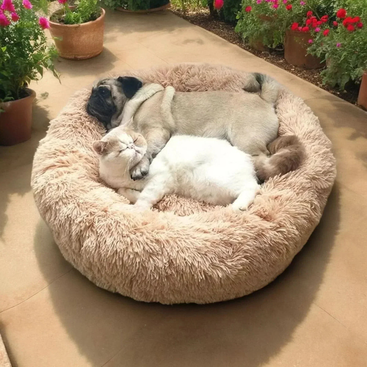 Super Soft Calming Dog Bed — Plush Cushioned Surface, Thick Bolster Edges