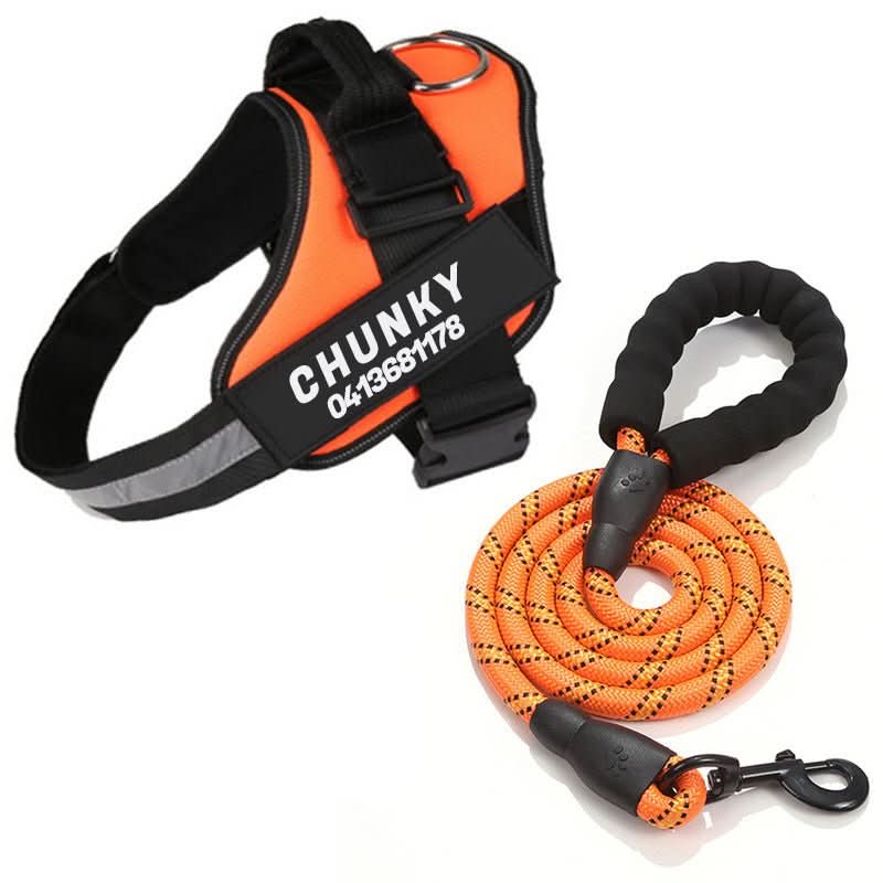 Personalizowana uprząż dla psa SafePaw — regulowany ergonomiczny krój, paski kontrolujące ciągnięcie