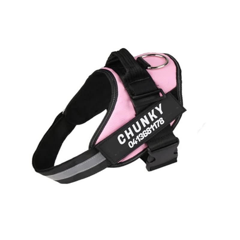 Personalizowana uprząż dla psa SafePaw — regulowany ergonomiczny krój, paski kontrolujące ciągnięcie