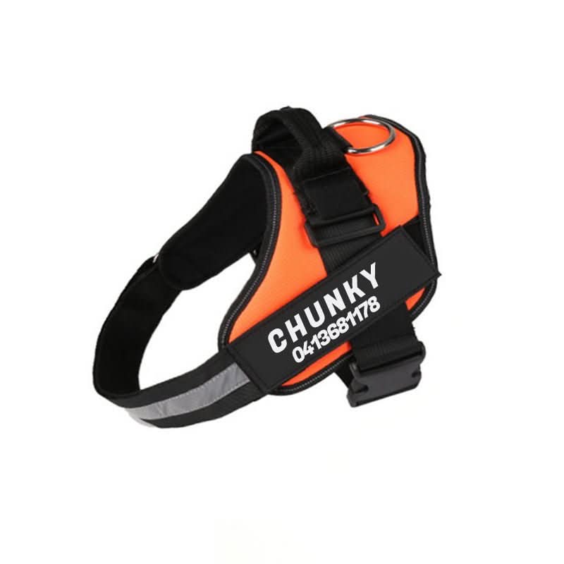 Personalizowana uprząż dla psa SafePaw — regulowany ergonomiczny krój, paski kontrolujące ciągnięcie