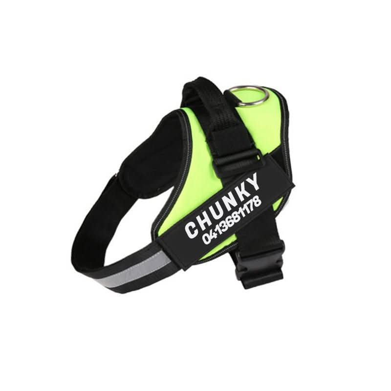 Personalizowana uprząż dla psa SafePaw — regulowany ergonomiczny krój, paski kontrolujące ciągnięcie