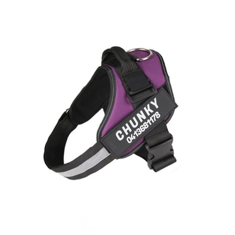 Personalizowana uprząż dla psa SafePaw — regulowany ergonomiczny krój, paski kontrolujące ciągnięcie