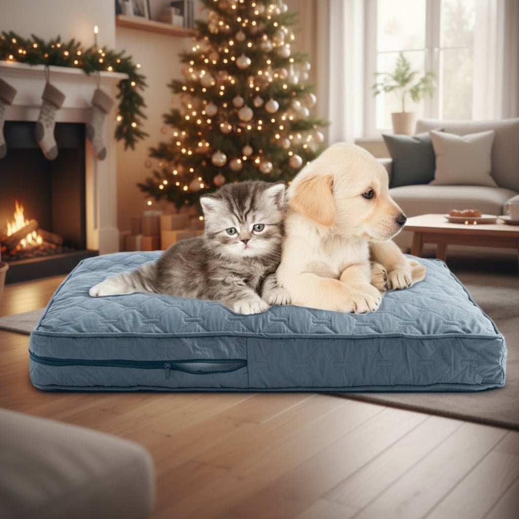 CozyTail ortopéd kutyaágyhuzat — megerősített cipzáras nyílással nagytestű kutyákhoz