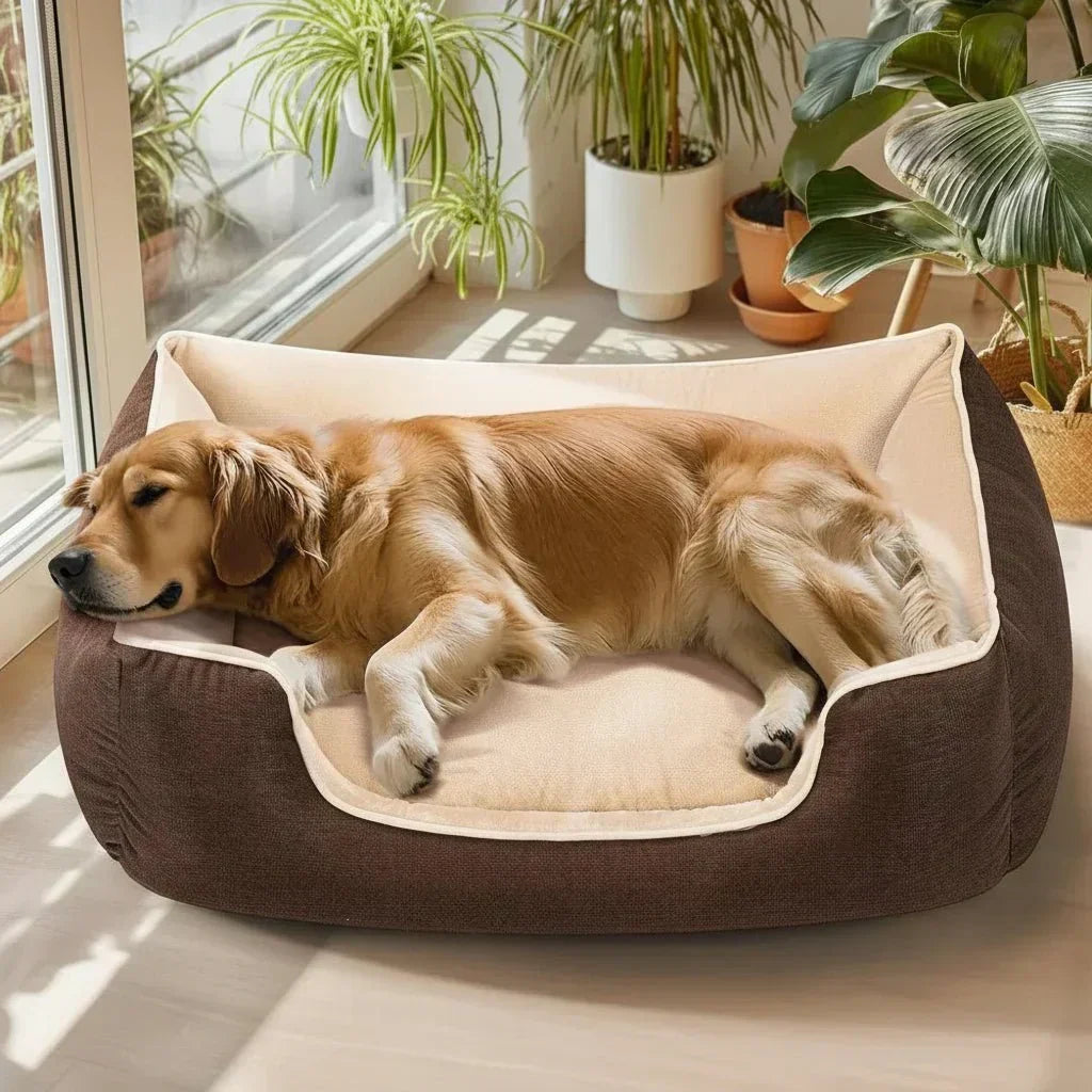 CosyPaws wasserdichtes Hundebett aus Memory-Schaum – orthopädische Unterstützung, gleichmäßige Gewichtsverteilung