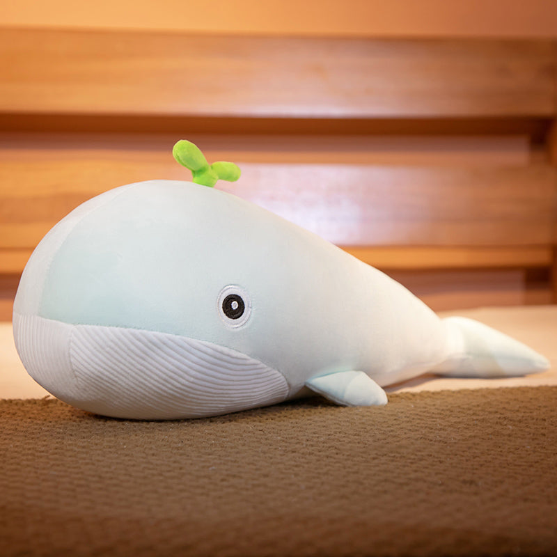 A Pod of Cuddly Whales - Kawaiies - Adorable - Cute - Plushies - Plush - Kawaii