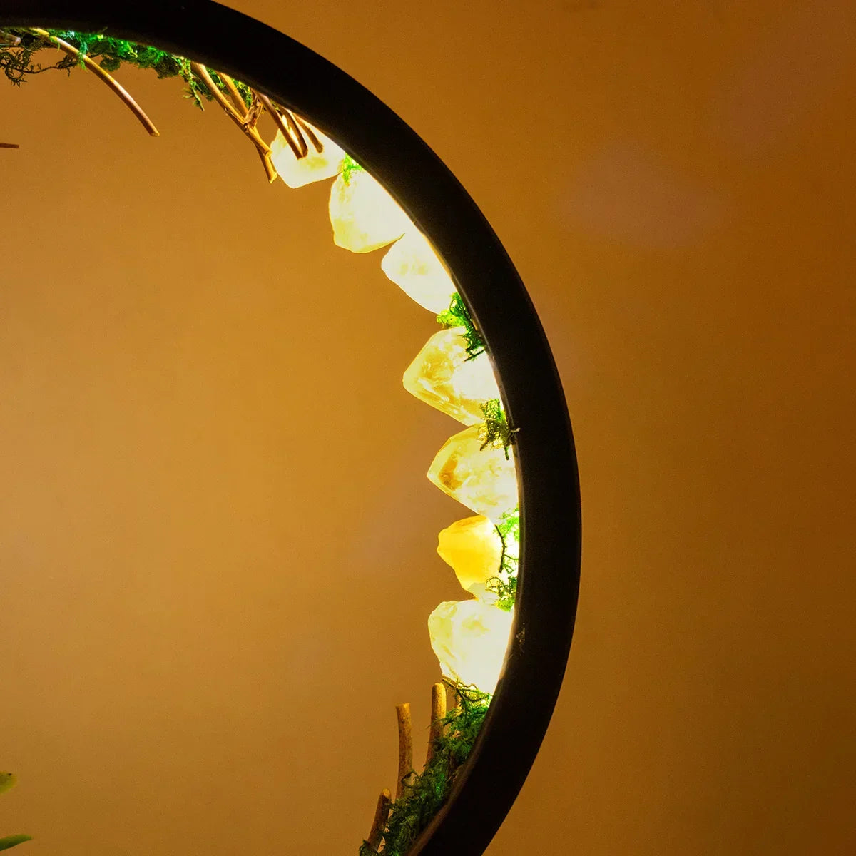 Light Spell Night Light — Round Frame, Plants & Crystals