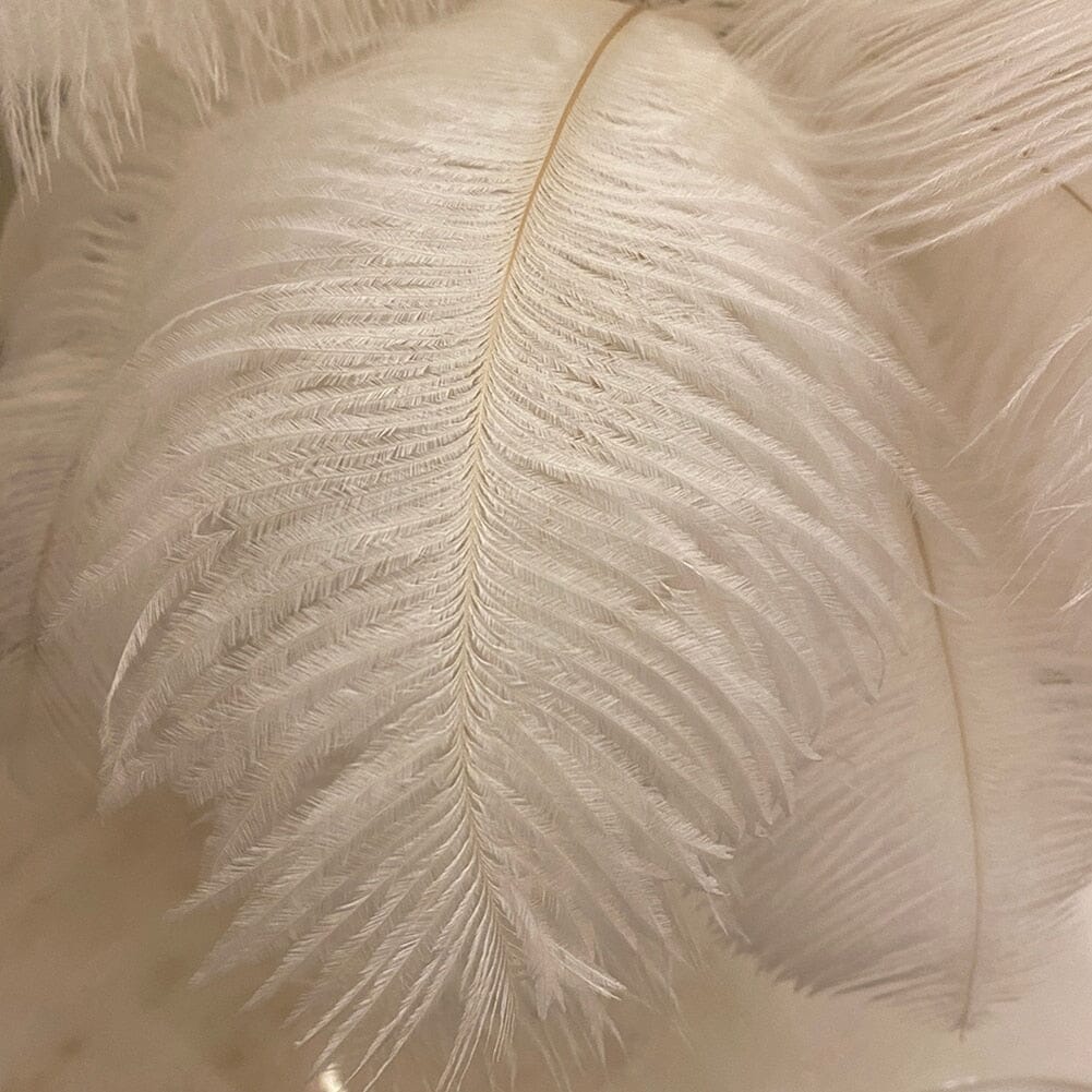 Luxury LED Feather Lamp Modern Minimalist Lighting For Elegant Homes