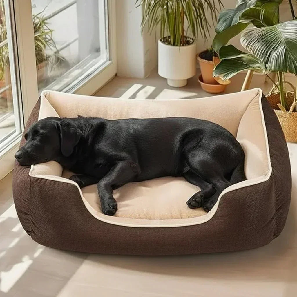CosyPaws wasserdichtes Hundebett aus Memory-Schaum – orthopädische Unterstützung, gleichmäßige Gewichtsverteilung