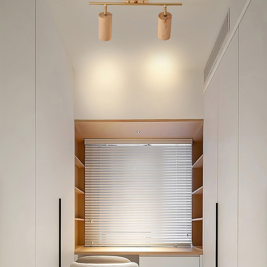 Arthur Ceiling Light Spotlight | ventumra