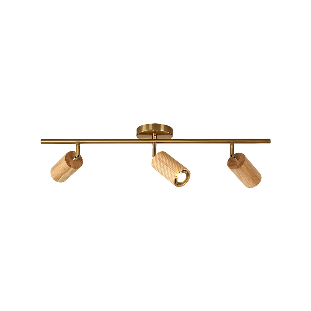 Arthur Ceiling Light Spotlight | ventumra
